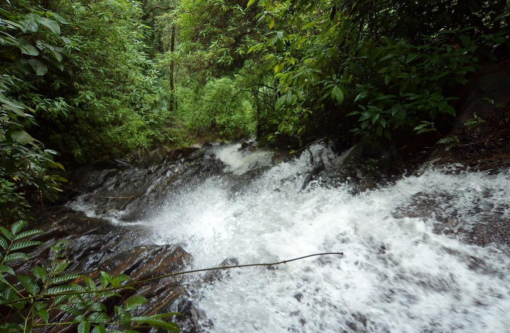 Marg Stream Valley Vythiri Zewnętrze zdjęcie