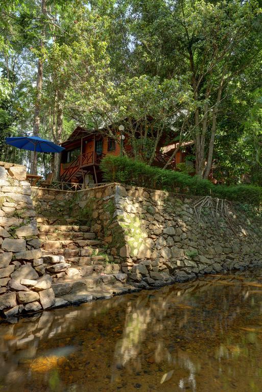 Marg Stream Valley Vythiri Zewnętrze zdjęcie