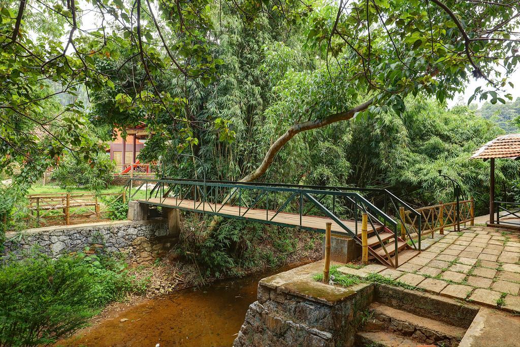 Marg Stream Valley Vythiri Zewnętrze zdjęcie