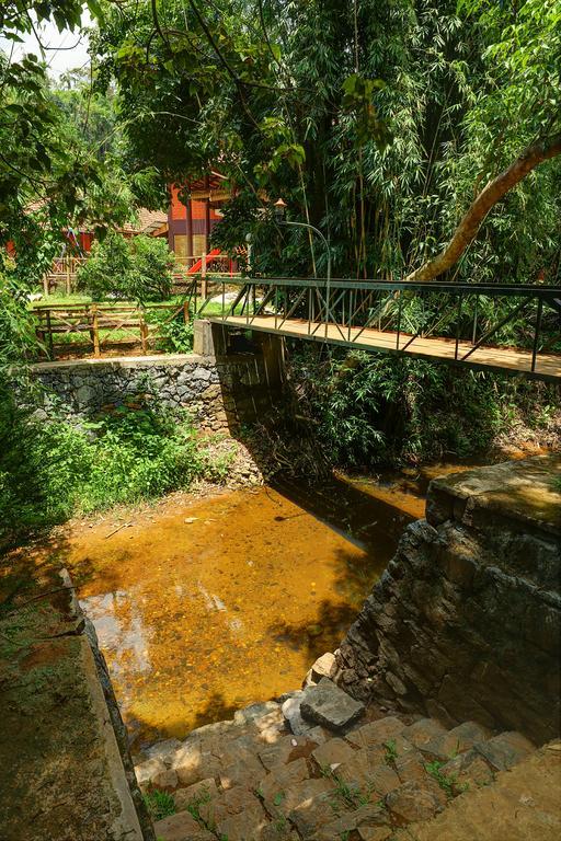 Marg Stream Valley Vythiri Zewnętrze zdjęcie