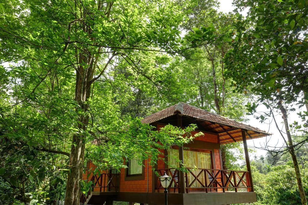 Marg Stream Valley Vythiri Zewnętrze zdjęcie