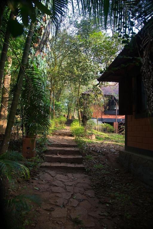 Marg Stream Valley Vythiri Zewnętrze zdjęcie