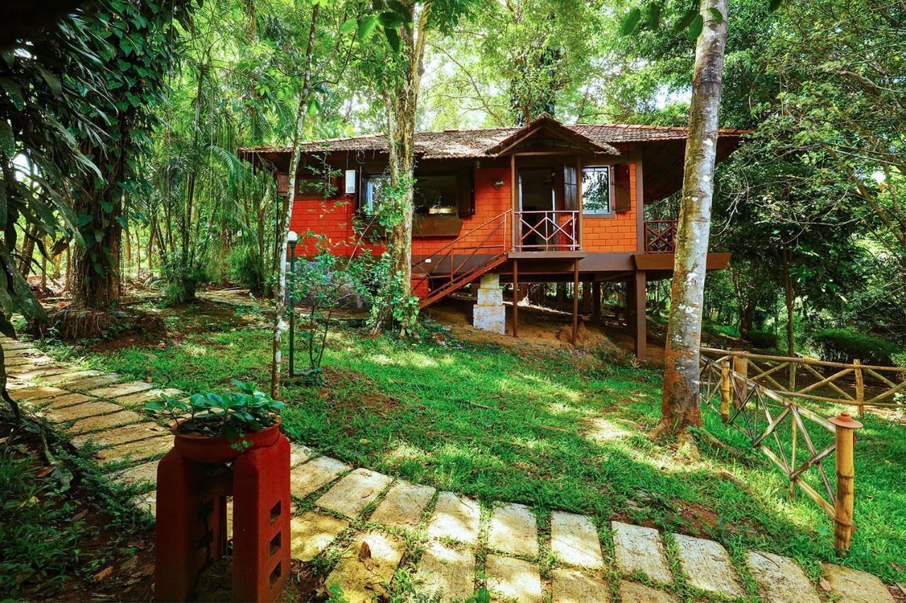 Marg Stream Valley Vythiri Zewnętrze zdjęcie